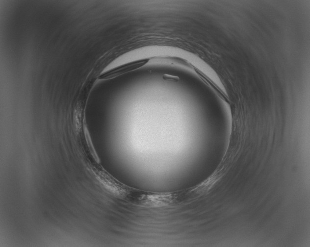 X0000082950188200702222323