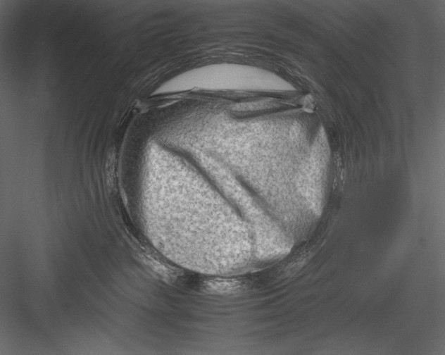 X0000082950189200702222323