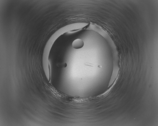 X0000082950190200702222323