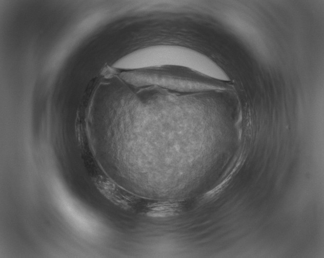 X0000082950191200702222323