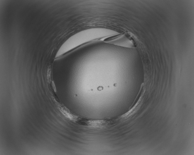 X0000082950192200702222323