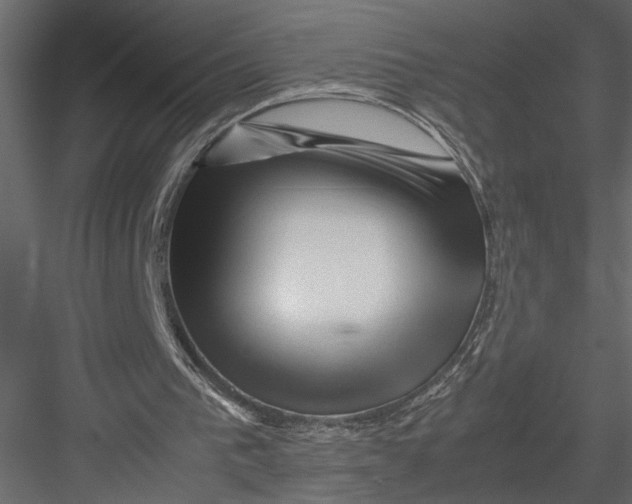 X0000082950193200702222322