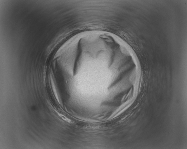 X0000082950194200702222322