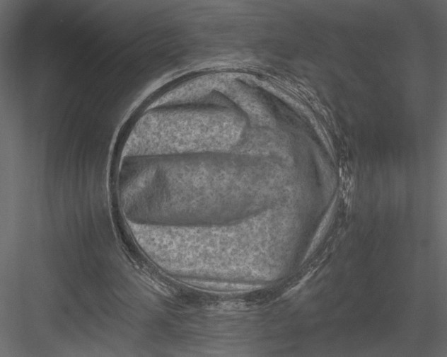 X0000082950196200702222322