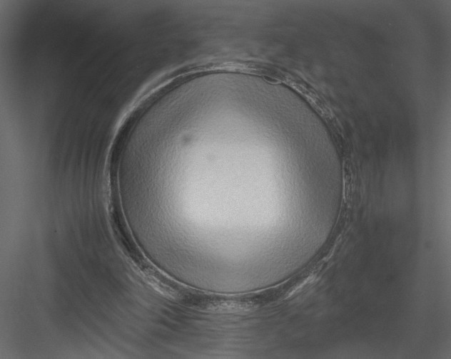 X0000082950198200702222322