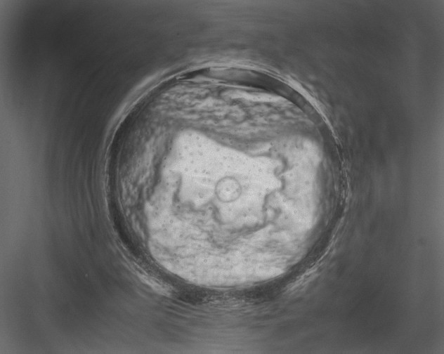 X0000082950199200702222322