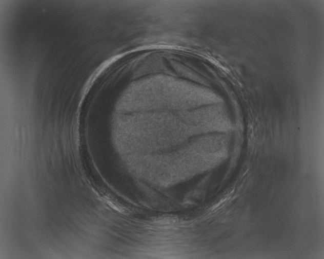 X0000082950200200702222322