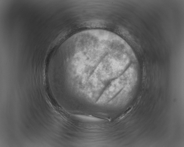 X0000082950202200702222322