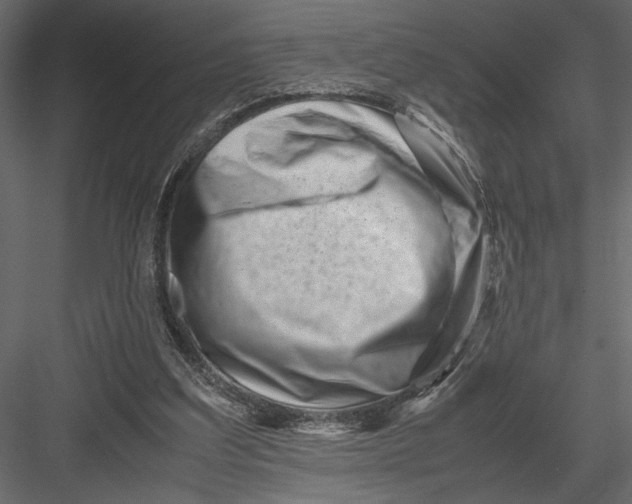 X0000082950203200702222322