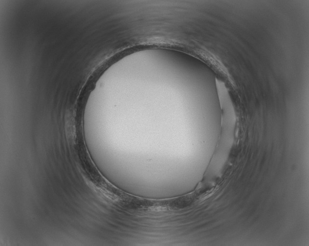 X0000082950204200702222322