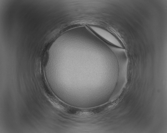 X0000082950205200702222322