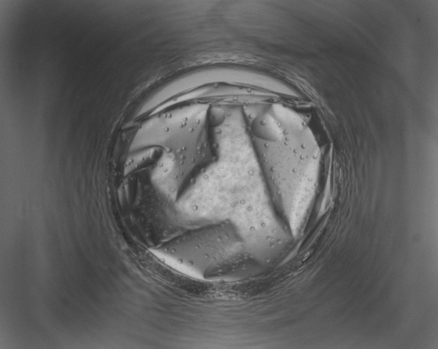 X0000082950207200702222322