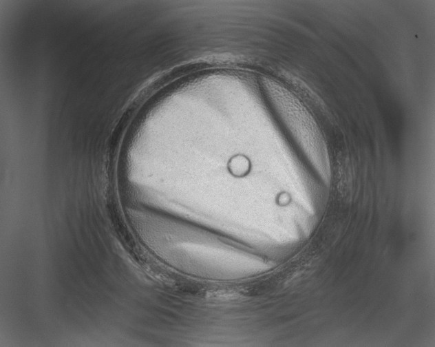 X0000082950208200702222322