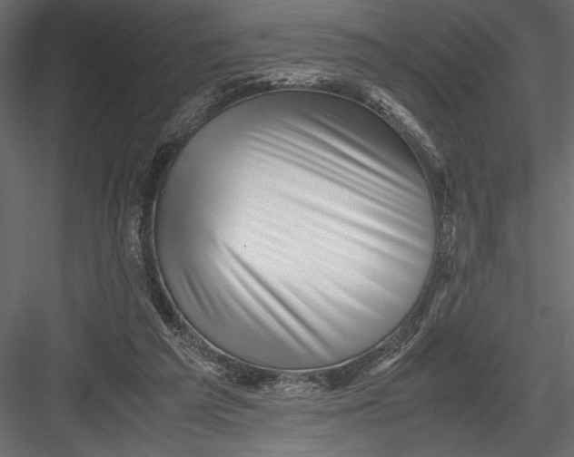 X0000082950209200702222322