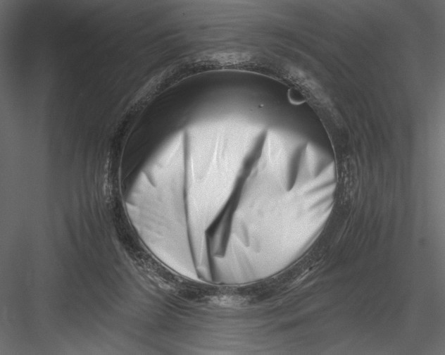 X0000082950212200702222322