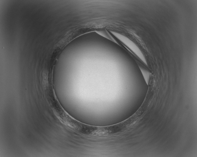 X0000082950213200702222322