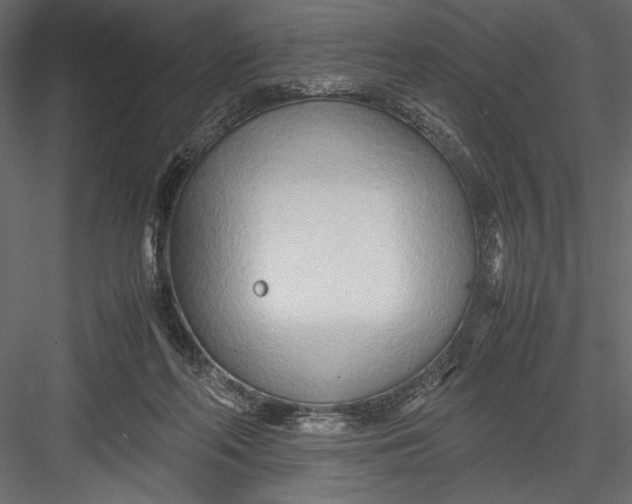 X0000082950214200702222322