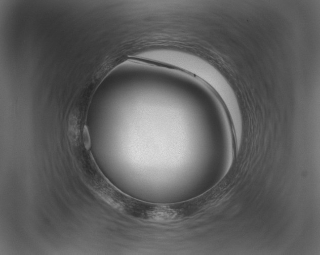 X0000082950215200702222322