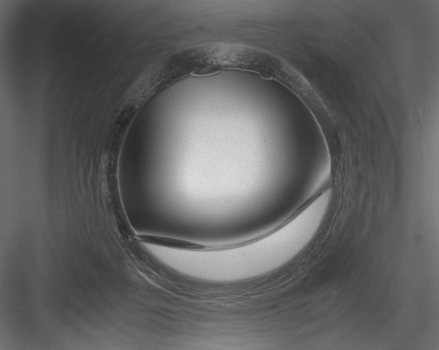 X0000082950217200702222322