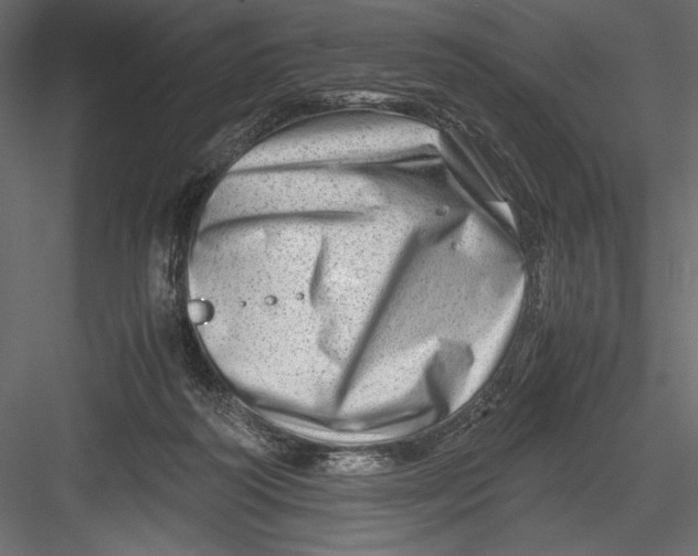 X0000082950218200702222322