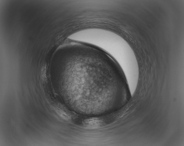 X0000082950219200702222322