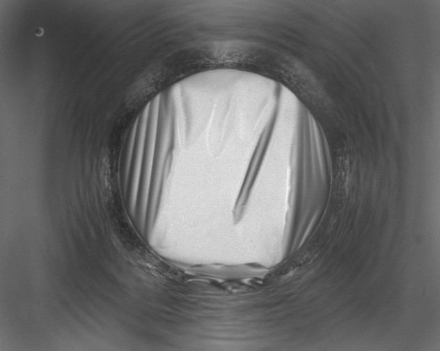 X0000082950220200702222322