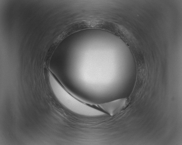 X0000082950221200702222322