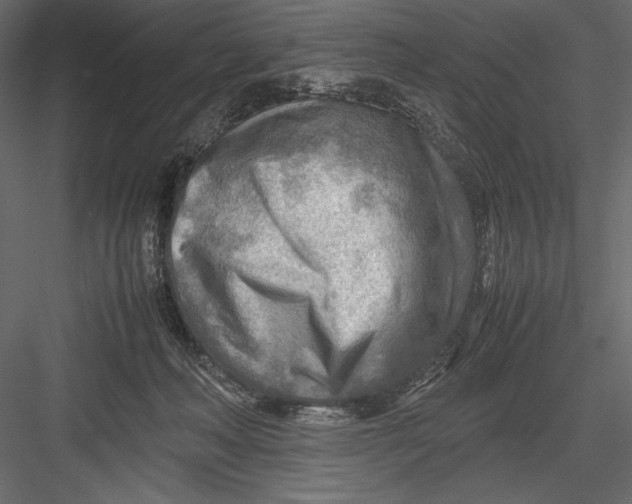 X0000082950222200702222322