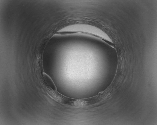 X0000082950225200702222322