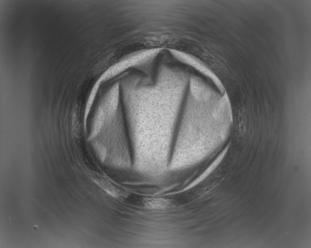 X0000082950226200702222322