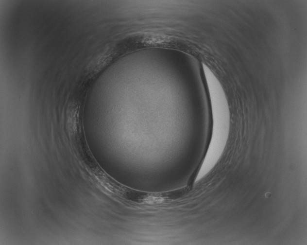 X0000082950227200702222322