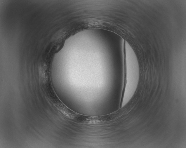 X0000082950228200702222322