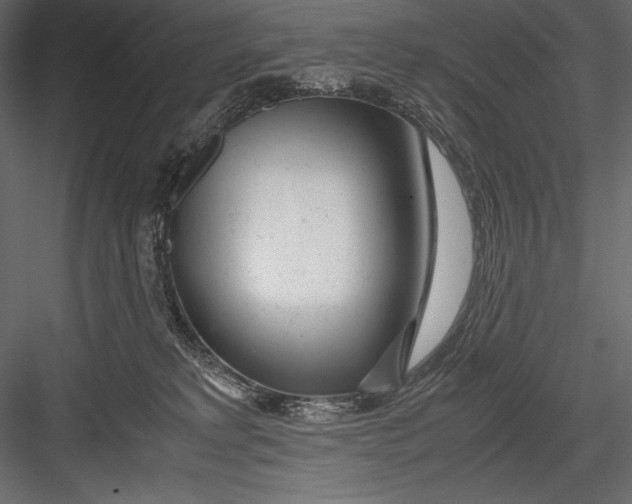 X0000082950229200702222322