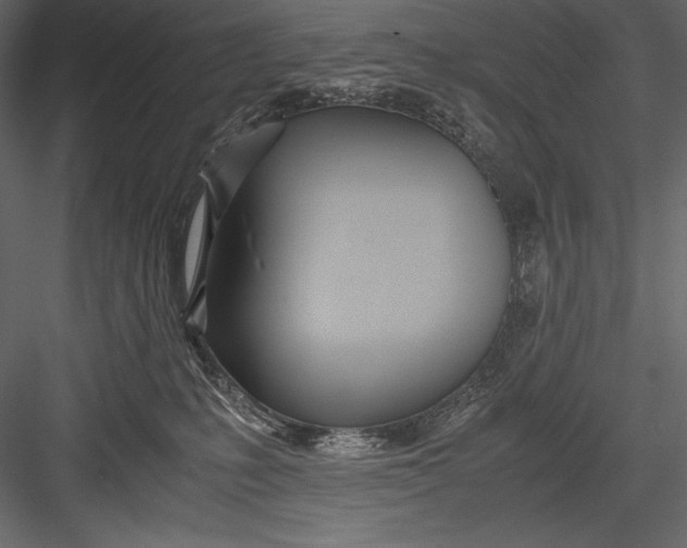 X0000082950231200702222322