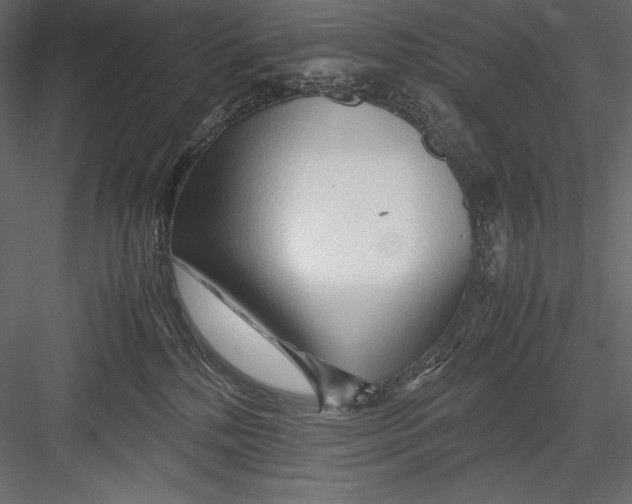 X0000082950232200702222322