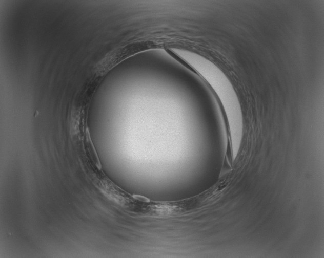 X0000082950233200702222322