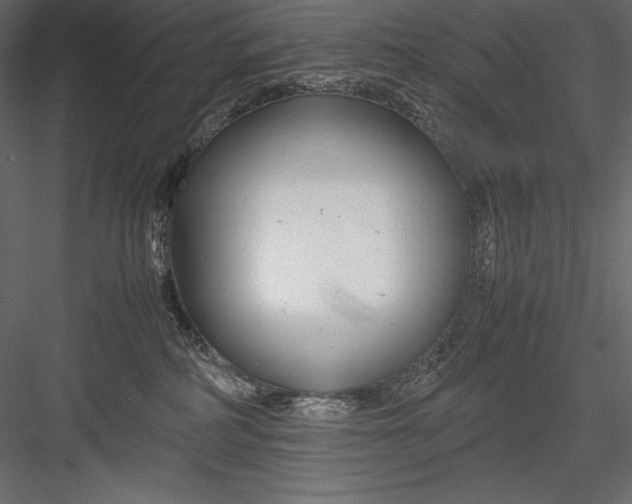 X0000082950234200702222322