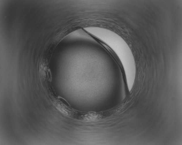 X0000082950235200702222322