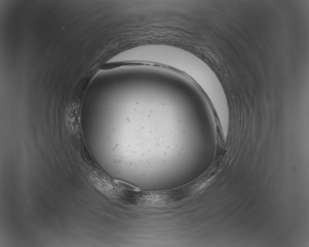 X0000082950237200702222322