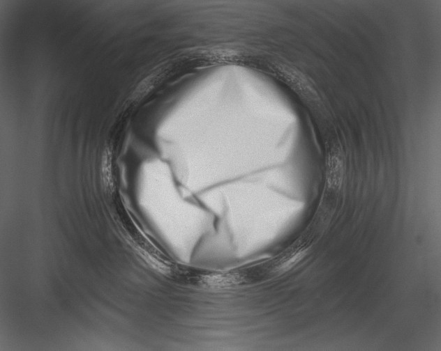 X0000082950238200702222322