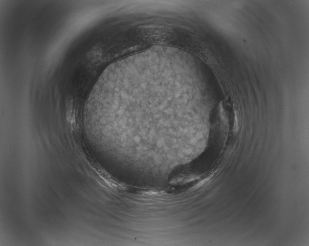 X0000082950239200702222322