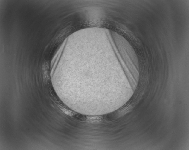 X0000082950240200702222322