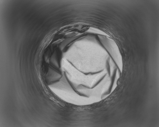 X0000082950241200702222321