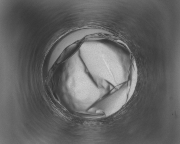 X0000082950242200702222321