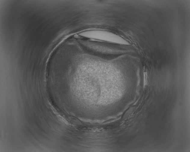 X0000082950243200702222321