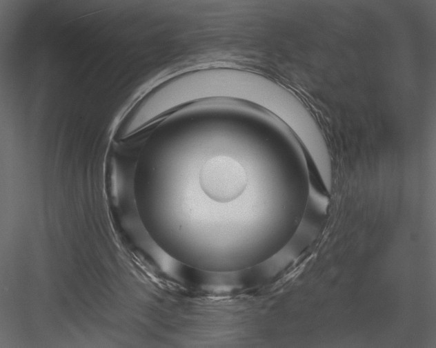 X0000082950244200702222321