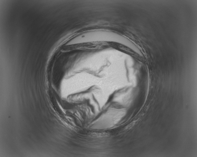 X0000082950245200702222321