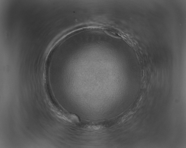 X0000082950247200702222321