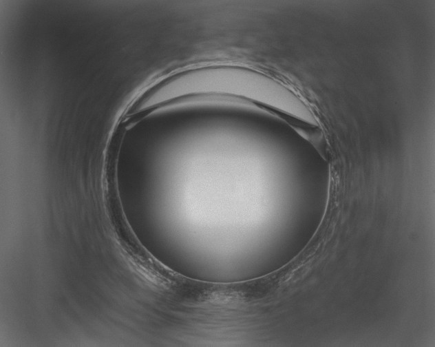 X0000082950248200702222321