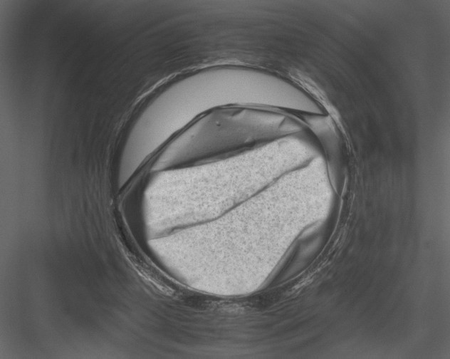 X0000082950249200702222321